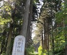 霊感タロットで占います 彼の気持ち/音信不通/不倫/子育て/ママ友トラブル/視ます イメージ10