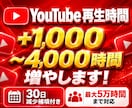 YouTubeの再生時間を~4000時間増やします youtube再生時間を最大5万時間まで対応！減少補填付き イメージ5