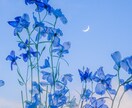 一緒にいるほど分からない夫婦関係と本音を霊視します ｜これからのお二人の未来、心を近づける方法もお伝えします イメージ4