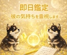 即日鑑定｜本音を霊視あの人の気持ち丁寧に視ます 彼の本心が気になる今に霊視で今の気配をお伝えします イメージ1