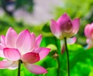 人生が変わる先祖供養で家系の因縁を癒します 命の繋がりを感じられる先祖供養を体感 イメージ3