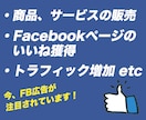 Facebook広告を1ヶ月運用代行致します 現役Facebook広告コンサルが最適化された運用を致します イメージ2