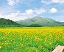 チャット形式で愚痴相談を承ります あなたの愚痴を受け止めます。普段言えない愚痴吐き出して下さい イメージ8