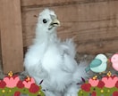 あなたが今お話ししたいその気持ち、私がお聞きします 悩み・愚痴・不安・自慢話・誰かと話したい、何でも大丈夫です！ イメージ3