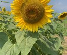 愚痴や悩みなんでも聞きますます なんとなく人と話したい、そんな時はありませんか？ イメージ1