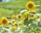 モニター募集！プロフィール写真撮影します 希望に応じて追加1時間無料で対応します！ イメージ3