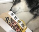 些細な悩みも、エネルギーを読み取りアドバイスします 直感力ありインスピレーションを通じて悩みを解決します イメージ1