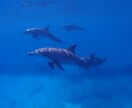 エンジェルライトワーカー®︎がお悩みをお聴きします あなたのお悩みを伺い、必要な処にヒーリングを送ります。 イメージ1
