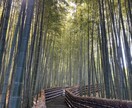貴方のお悩みを解消します 元ボーイで女性に混じり男性客の相手をさせてもらっていました。 イメージ10