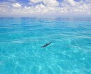 プチっと鑑定！お名前からエネルギーを見ます 自分の「カタカムナかずたま」を知ろう！ イメージ1