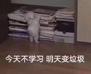 初心者向けの中国語講座再開いたします 日本語も中国語もネイティブレベル！現大学生が教えます！ イメージ1