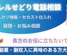 アパレルせどり個別電話コンサル、相談受けます マニュアル購入者様推奨 セカスト仕入れの疑問や不安を直接相談 イメージ1