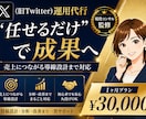 現役コンサル監修⭐︎ X運用代行30日間いたします プロに任せるX(Twitter)最初の一歩から並走します。 イメージ1