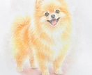 オーダーで動物の水彩似顔絵原画◎制作します 世界に一点の作品　特殊ブラシで描く水彩画　インテリアにも。 イメージ10