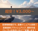 売上の上がる戦略を一緒に作ります 売上に伸び悩んでいる個人事業主様！刺激的な戦略作りませんか？ イメージ1