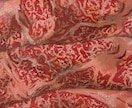 個性・高級感のあるお肉のイラストを描きます 焼肉店・肉料理店の空間を彩る、油絵ならではの質感と高級感を イメージ3