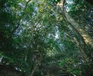 あなたの未来を予言します 未来を知りたくない人は購入をご遠慮下さい。 イメージ1