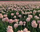 女子高校生が話を聞きます 現役女子高生が貴方の悩みを聞きます♪♡ イメージ5