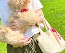パラコード/ 花首輪♡ 販売します わんこのお散歩用花の三連首輪です♡ イメージ5