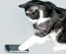 30分or24時間⭐️無制限チャットでお話しします お電話する前のお試しも◎LINE感覚でお話ししましょ⭐️ イメージ3