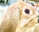 独自の世界でたった一つの写真を作ります アーティスト写真、アー写、画像加工、NFT、素材、結婚、写真 イメージ1