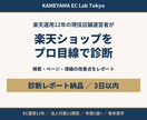 楽天ショップの改善点を現役店長が診断します 現役の楽天店舗運営者が検索・ページ・導線をチェック イメージ1