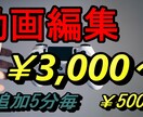 10分の動画を￥3,000から動画編集します 現役YouTuberが編集します イメージ1