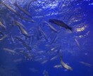 北海道旅行のプラン提案します 札幌在住者が地元の人が通うスポットや話題の場所をお伝えします イメージ10