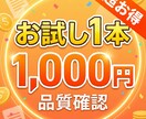 初回限定1本1,000円！品質確認記事を作成します たった1,000円で品質チェック！安心のお試しプラン イメージ1