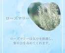 Instagramの投稿テンプレート作ります サロンやクリニック、カフェなどのInstagramに。 イメージ5