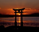 お試しでボリューム充分★神社後継ぎが易占します 500字でスピード回答☆24時間以内返信☆恋愛・復縁・片思い イメージ1
