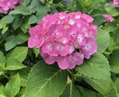 あなたの心の悩みに寄り添います 心を元気にするお手伝いをさせてください。 イメージ1