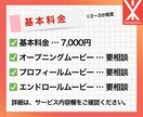 結婚式の感動動画を丁寧に作成します 大切な1日を映像に！心に残る結婚式動画を制作 イメージ2