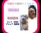 編集苦手、時間が無い方、是非！写真から動画作ります 歌詞動画・動画編集、お祝い、サプライズ、思い出作りにどうぞ！ イメージ1