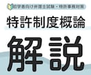 初学者向特許制度概論を実務経験を活かして解説します 知財×経営戦略 将来事業構想•新事業創出•特許法導入ガイド イメージ1