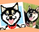 ペットのドット絵似顔絵お作りいたします シンプルなドット絵！SNSのアイコンにもオススメです。 イメージ7