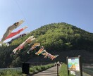 写真撮影を代行します 癒しを求めるきれいな景色を探して！！！ イメージ4