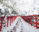 京都で“映える写真”撮影します 祇園・伏見稲荷・嵐山・清水寺など イメージ2