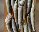 釣りを始めたい方に0から丁寧にアドバイスします 釣りで必要な道具の購入や釣り方を0から丁寧にサポート! イメージ7