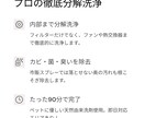 Canva使用　LPの制作をトータル作成致します 初めてのLP制作の方も大歓迎です イメージ4