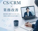 元CS責任者と業務改善を壁打ちします 問い合わせ・CRM・業務フローのお悩み相談 イメージ1