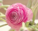 どんなお話も、傾聴いたします アーキエンジェルヒーリング付き☆ イメージ1