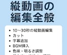 縦動画編集】カット＋字幕＋BGM込みで仕上げます 10〜30秒／カット編集＋字幕＋BGM／最短48時間 イメージ1
