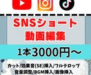 SNSショート動画を編集します エンタメ、料理、Vlog、など様々なジャンルに対応します！ イメージ1