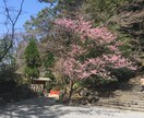 恋愛で悩んだでいる話をききます 婚活カウンセラーとして活動していました。 イメージ1