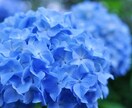 私はあなたと一緒に是非お話してみたいと思っています 雑談、笑い、恋愛、仕事、健康✨この年齢の友達だからできる話！ イメージ9