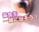 偏食を治すお手伝いします 偏食を克服して食事を楽しみましょう！ イメージ1