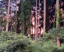 何でも聴きます♡傷ついたあなたを私が受け止めます モヤモヤ。苦しい。経験豊富なママが受け止めるよ♡ イメージ3