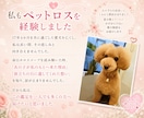 ペットロス【命日鑑定】を西洋占星術で読み解きます あの子が最後にあなたに伝えたかったメッセージ/ペットの気持ち イメージ7