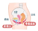 使いやすく分かりやすい！カラダのイラスト作成します 医療・健康系WEB・書籍に！わかりやすく説明をサポートします イメージ9